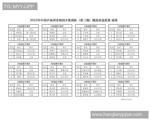 赵丽专访：从青涩小将到乒乓球传奇的奋斗与成长历程回顾